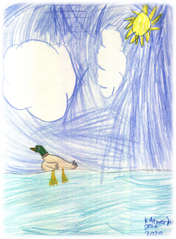 Katherine's drawing of a duck swimming