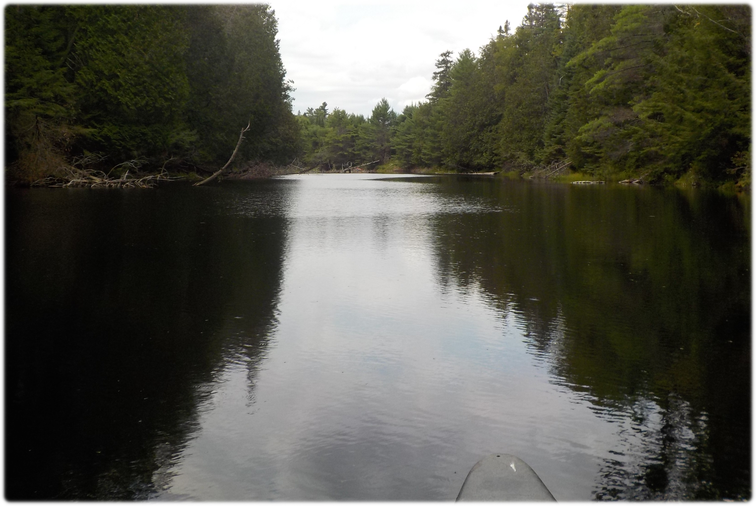 North branch of channel between Cedar and Little Cedar