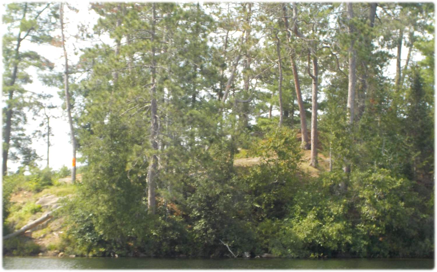 The island campsite on Laurel Lake