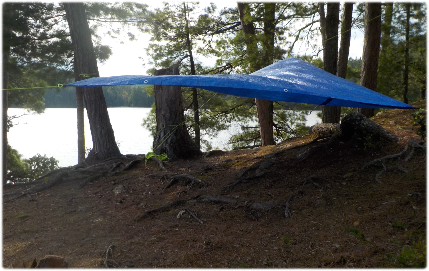 The tarp was setup with the back low to the ground
