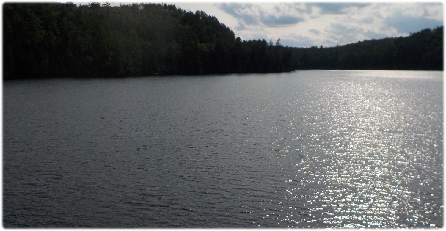Southwest lake view from the site