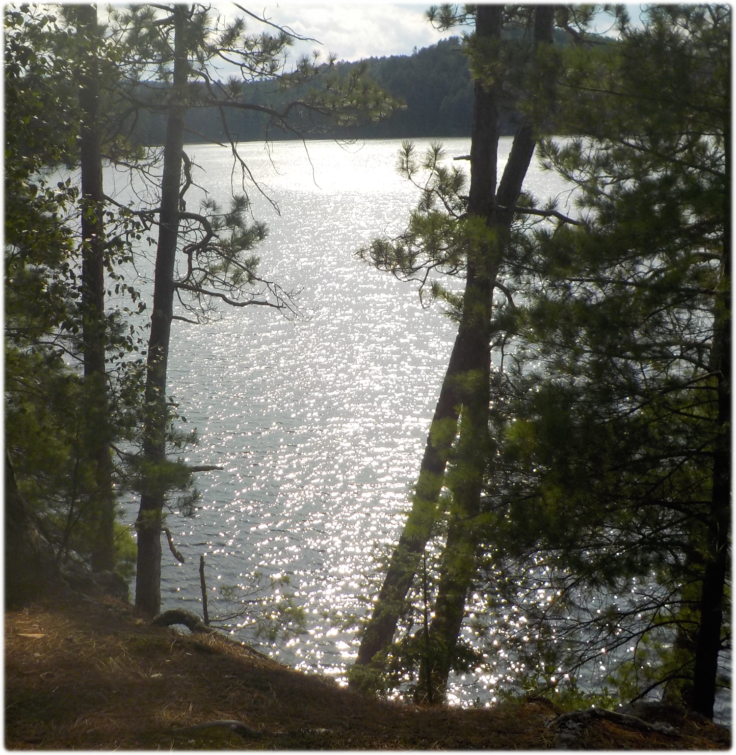 Southwest lake view