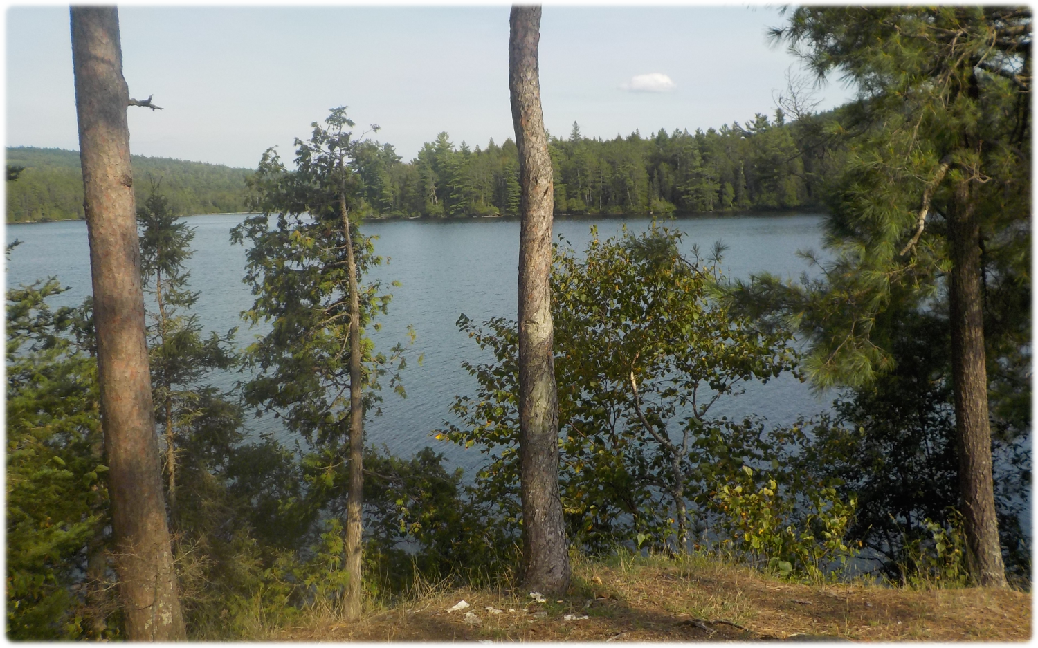 View looking west