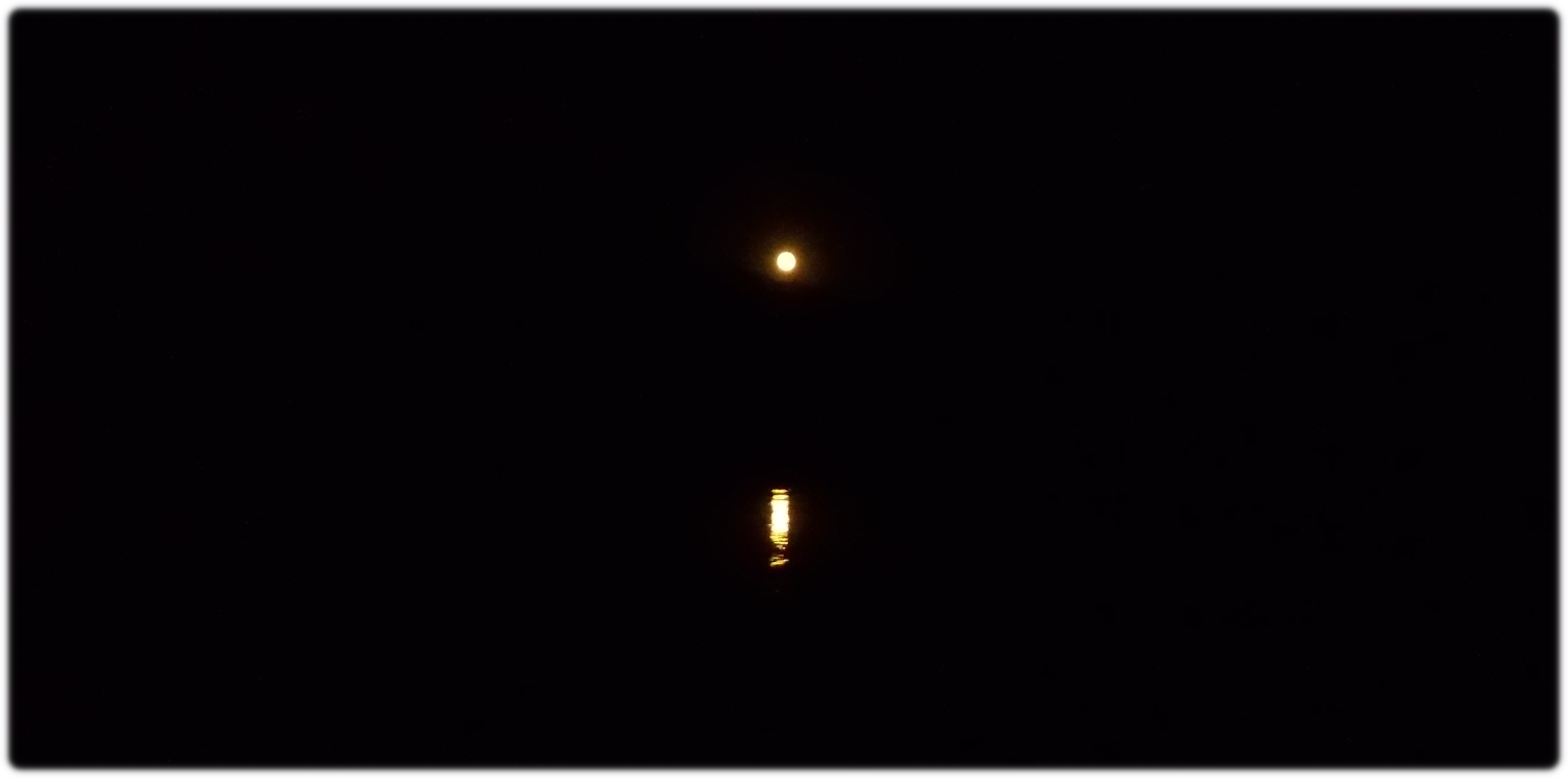Moon rise over the bay