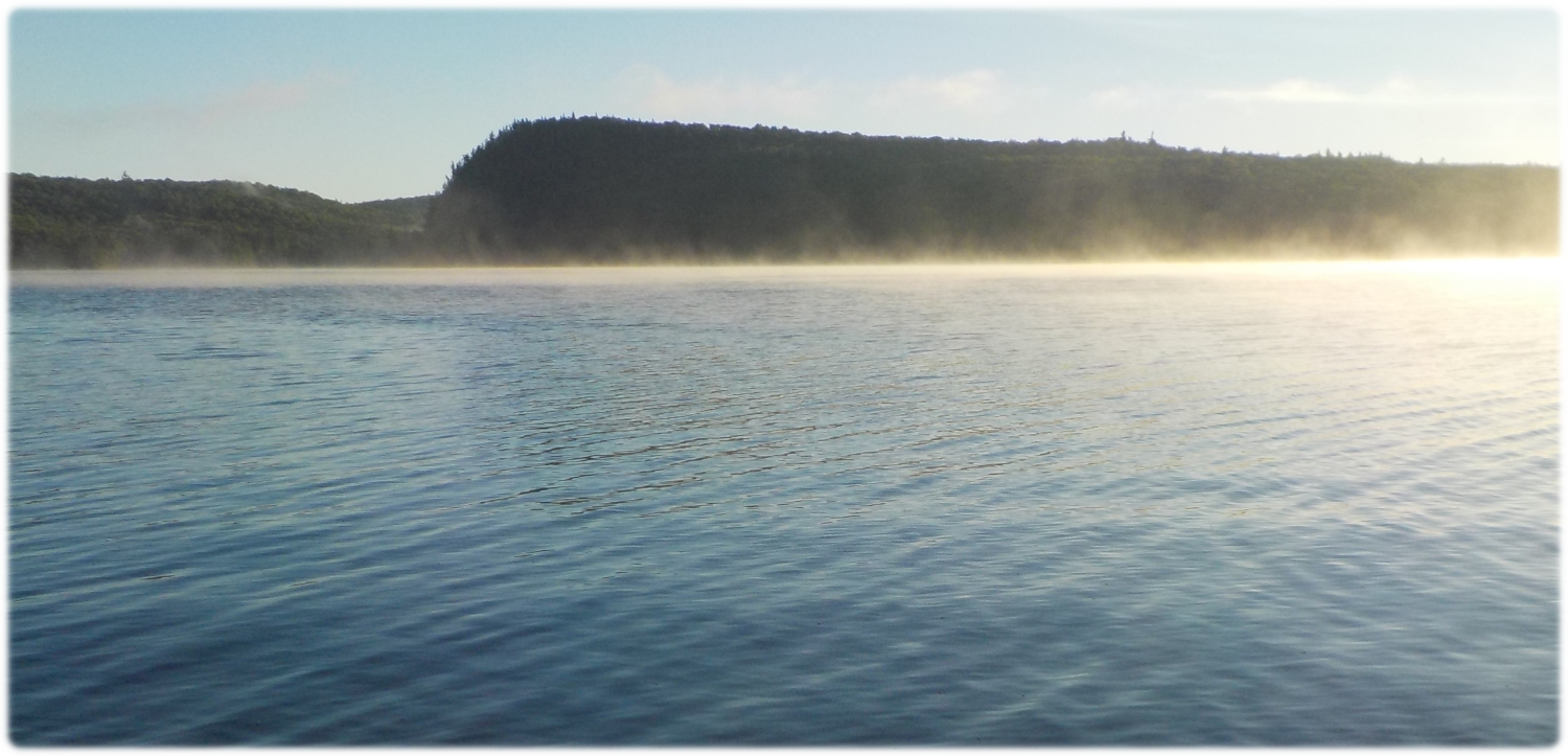 Morning mist on the lake