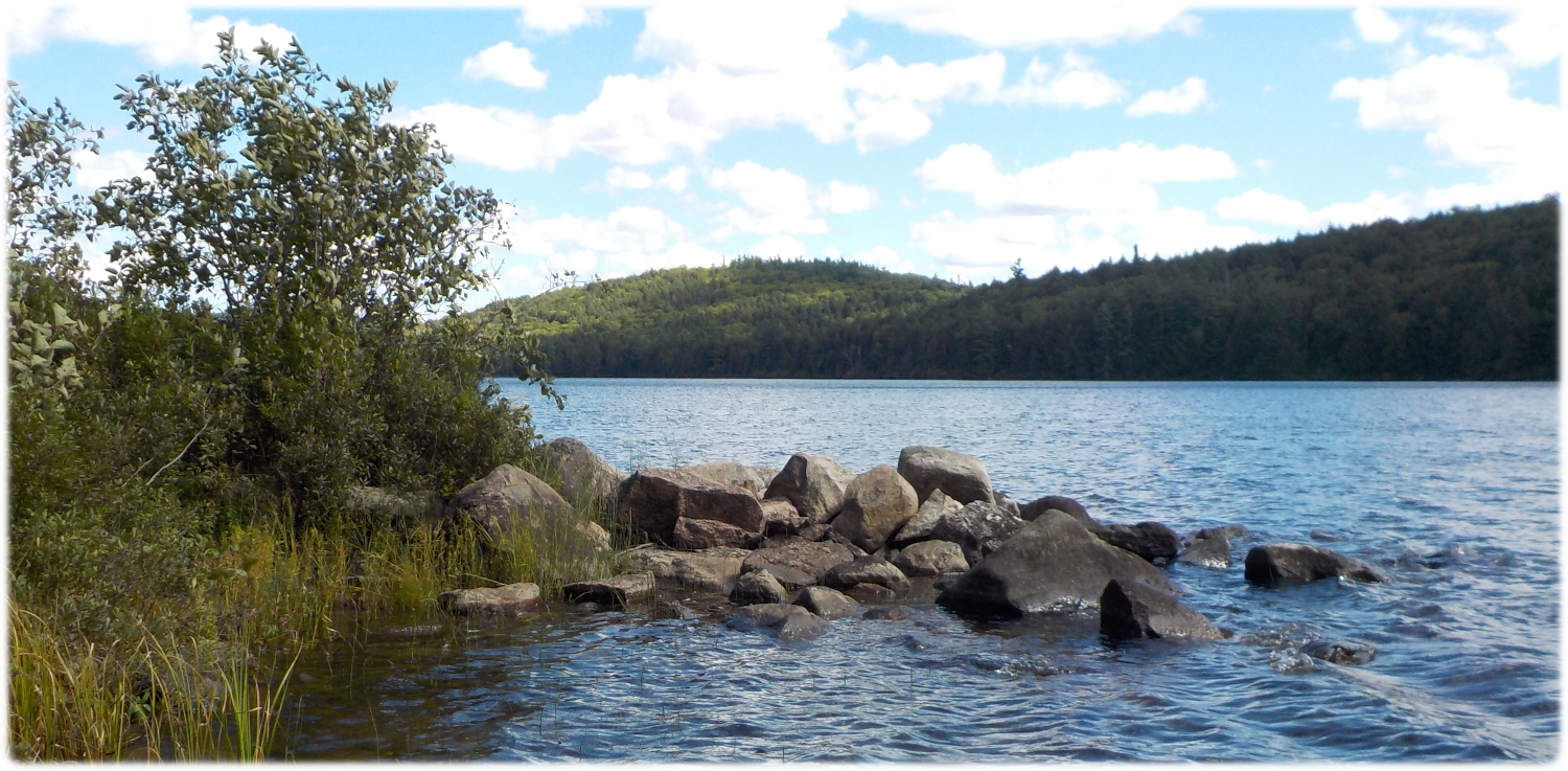View around our point