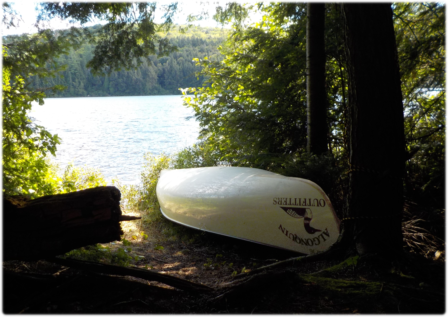 View of our canoe landing area in our bay