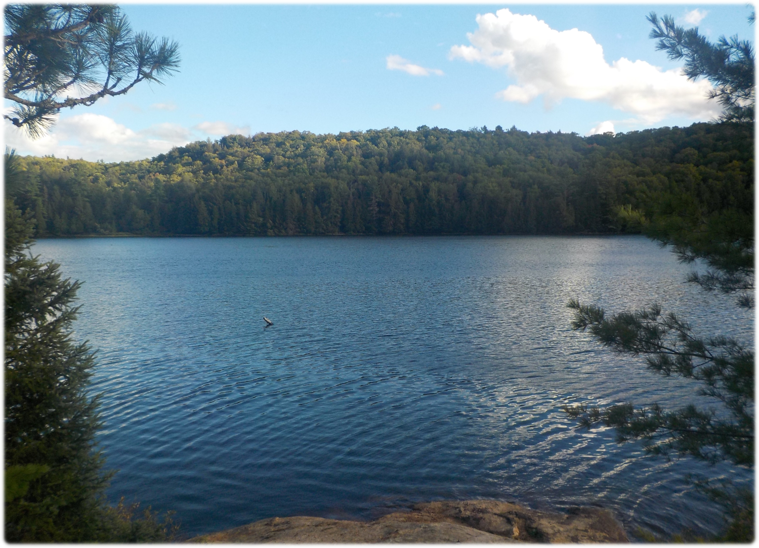 View of Bug Lake from our site