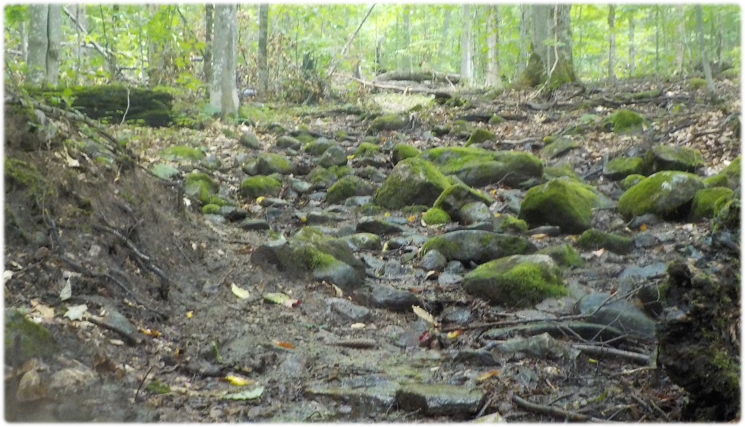 A steep waterfall to walk upon