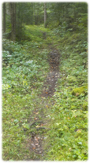 Typical portage trail