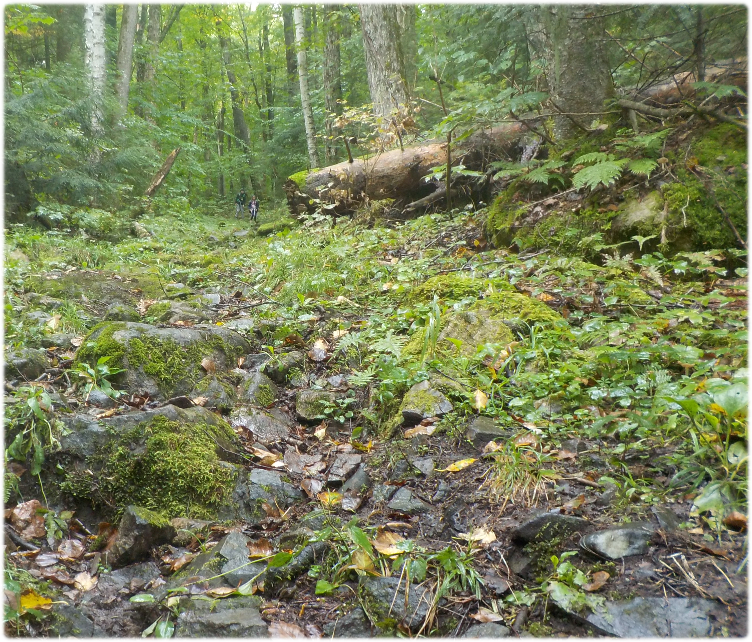A typical steep slope with kids in the distance