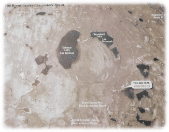 Diagram of the site